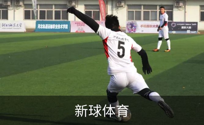 关于新球体育